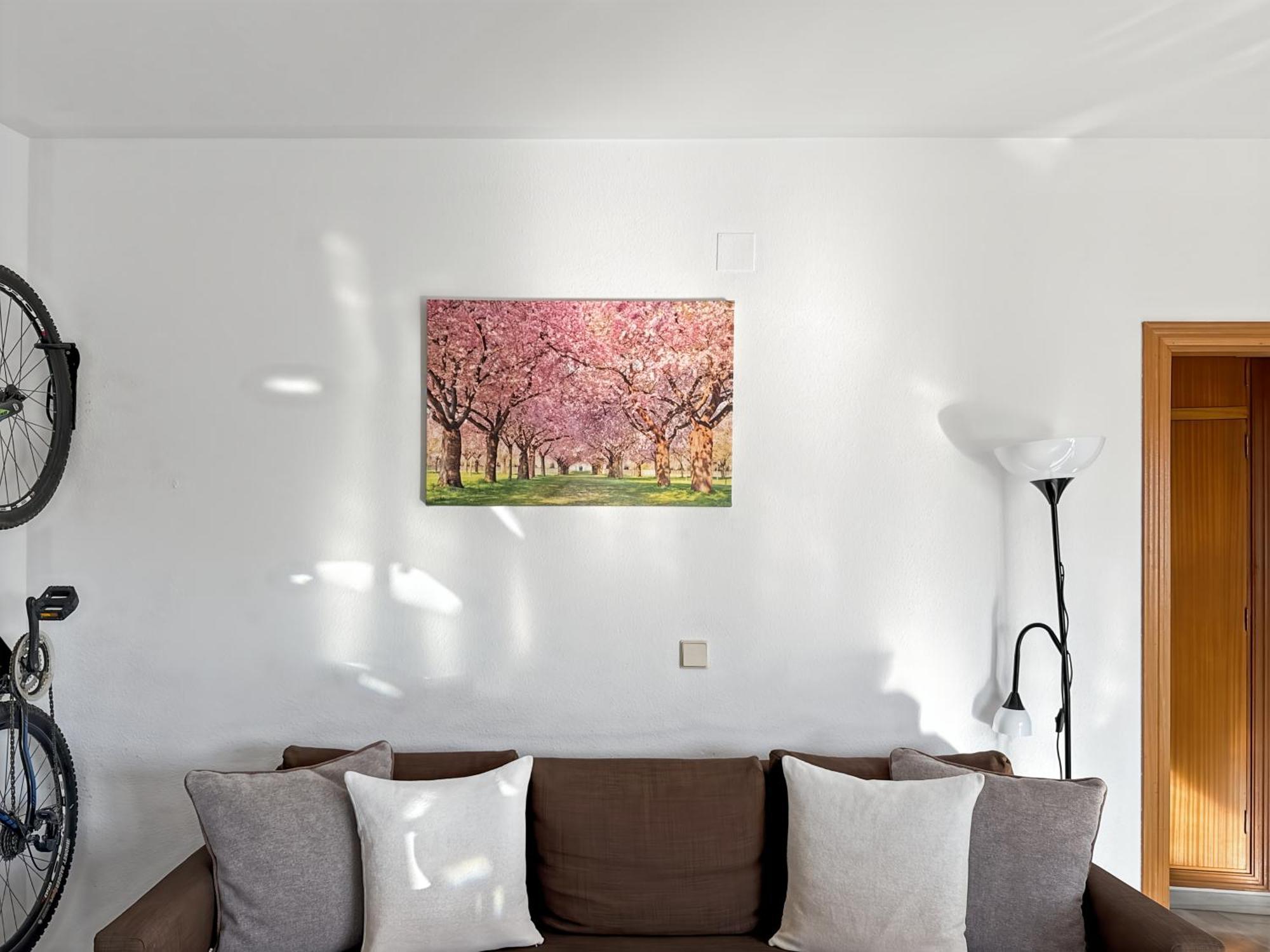 Exclusive Malaga Apartments With Cathedral Views And Auto Check-In 外观 照片